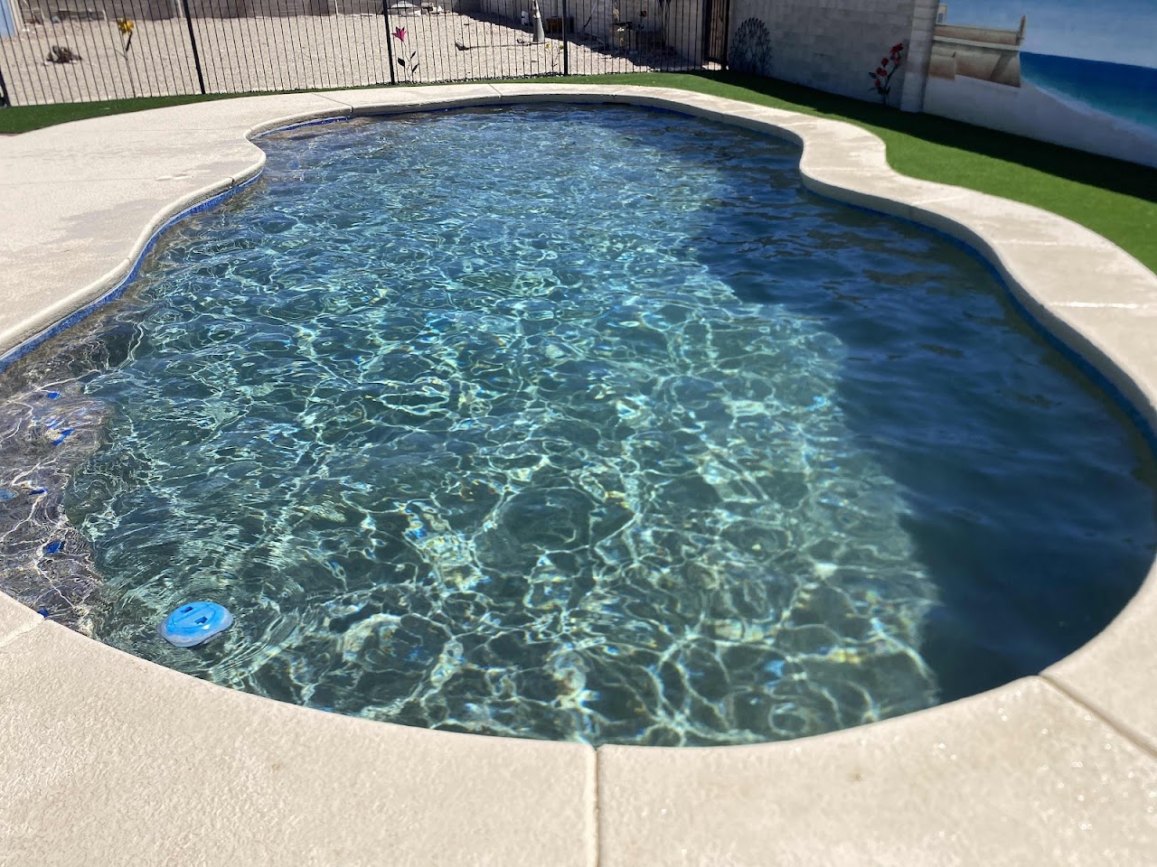 Complete Pool and Yard Care, Inc. project